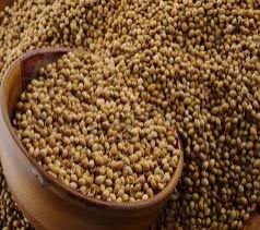 Coriander Seeds