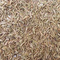 Cumin Seeds