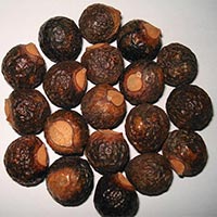 Reetha Nuts