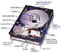 Computer Hard Disk