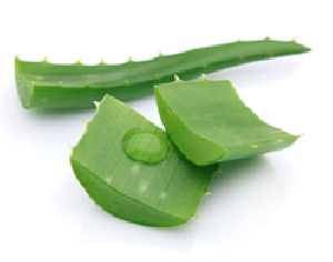 Aloe Vera E Gel