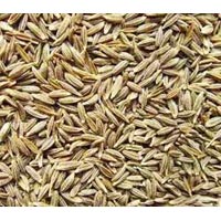 Cumin Seeds