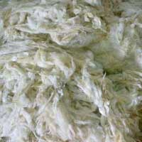 Scoured Wool