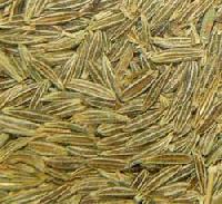 Cumin Seed