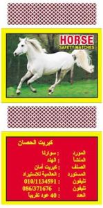 Safety Matches (Horsematch)