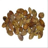 Terminalla Chebula Seeds