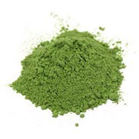 stevia dry leaves powder