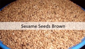 Sesame Seeds