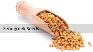 Fenugreek Seed