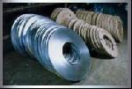 Galvanized Iron Steel coil