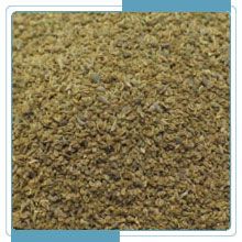 Celery Seeds