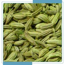 Fennel Seeds