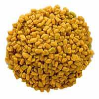 Fenugreek Seed