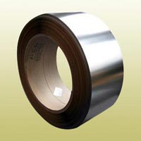 Stainless Steel Strips