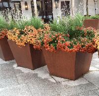 Decorative Planters