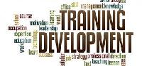 PG Diploma in Training & Development