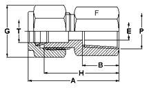 union fittings