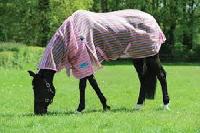 horse clothing