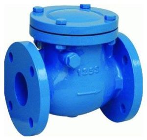 Ci Check Valves