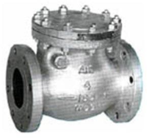 Swing Check Valve