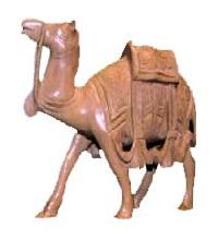 Camel WA-03
