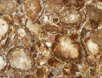 African Petrified Wood Granite Floor Tiles