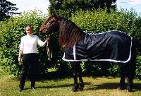 Horse Blue Rug