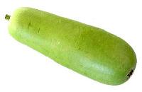 Bottle Gourd