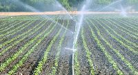 Sprinkler Irrigation System