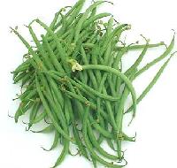 Green Beans