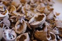 Walnut Shells