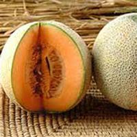 Fresh Muskmelon