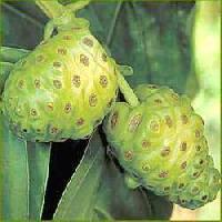 Noni Juice