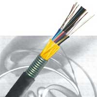 Fiber Optic Cable