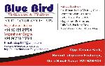 Multi Colour Visiting Card