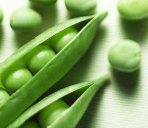 Fresh Green Peas