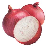 Fresh Onions