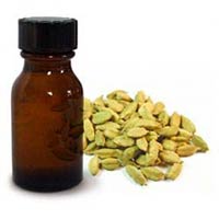 Cardamom Oil