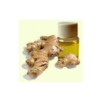 Ginger Oil