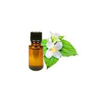 Jasmine Essential Oil