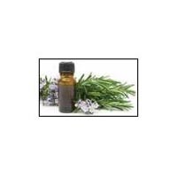 Lavender Oil