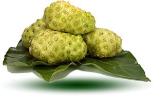 Noni Extract