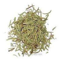 Rosemary dried leaves