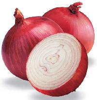 Onion