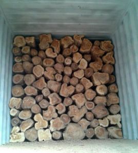 Benin Teak Wood Logs