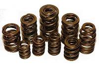 Pac Valve Springs