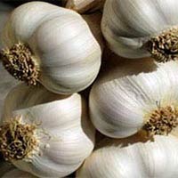 Fresh Garlic