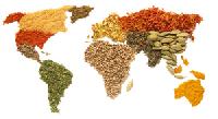 Indian spices