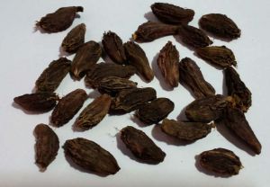 Black Cardamom without tail