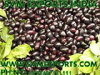 Syzygium Cumini Seeds Exporters